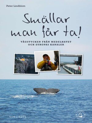 cover image of Smällar man får ta!